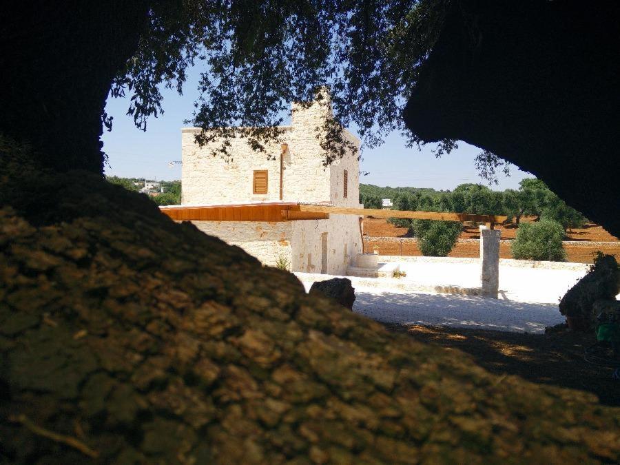 Il Trullo e la Pietra - 5