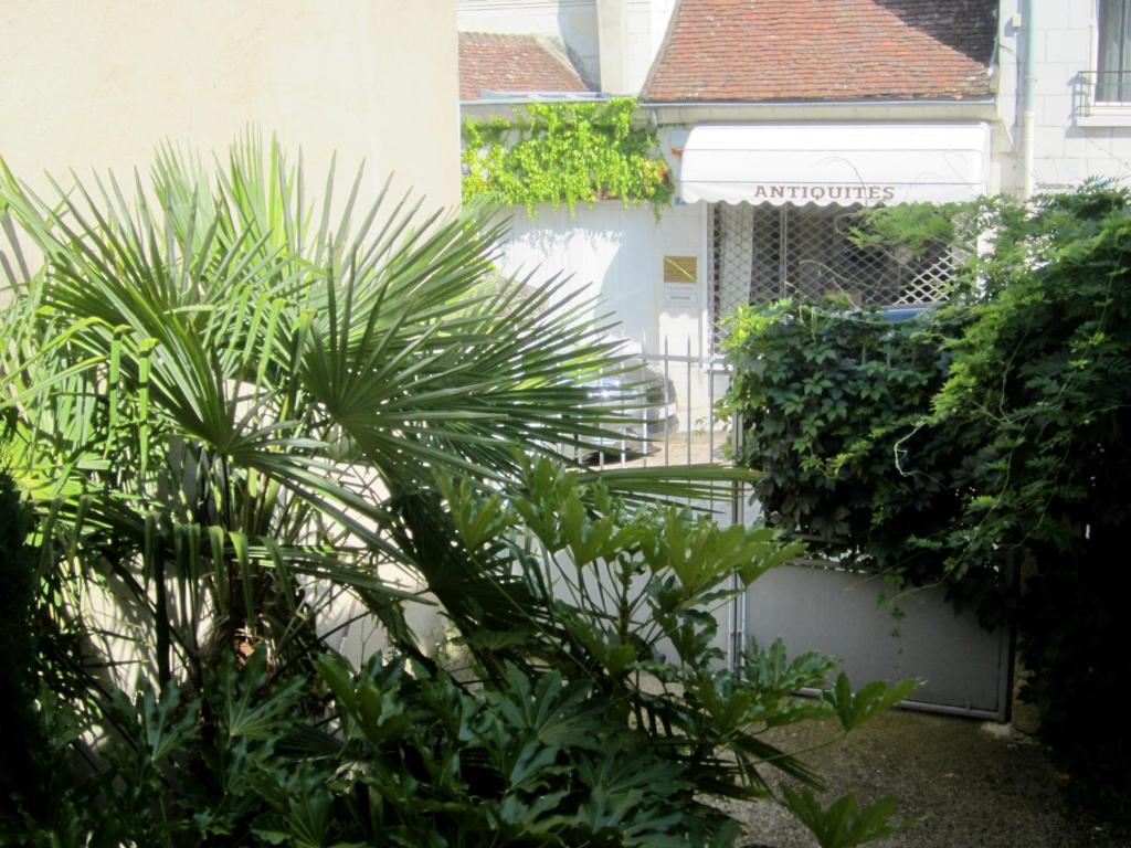 L'appartement des bords du Cher - 4