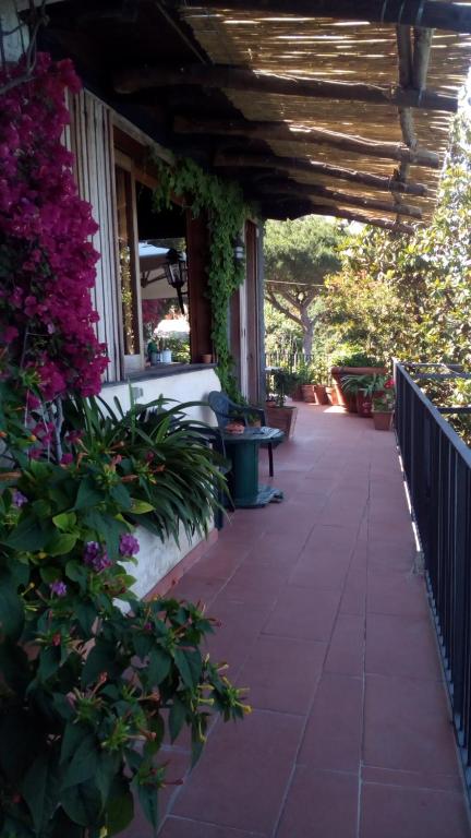 La Fusarella Villa Santoro photo