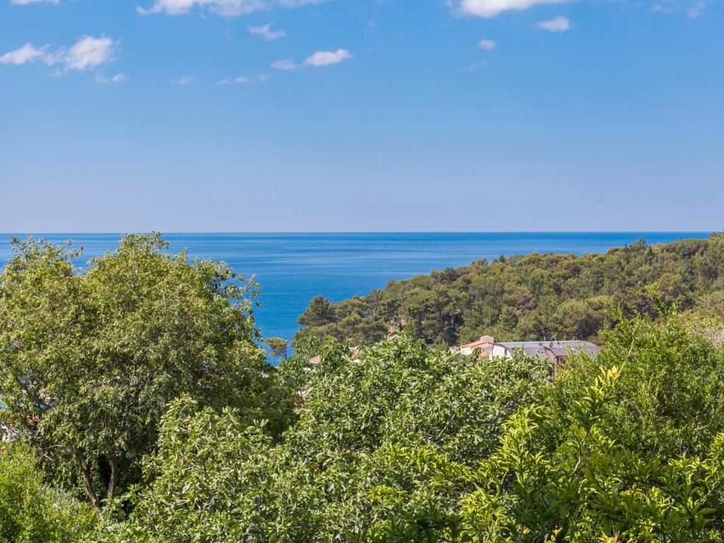 Apartments Krš Medinski - 4