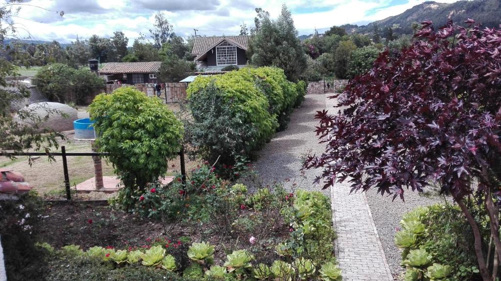 Finca Saron Hostería & Spa - 4
