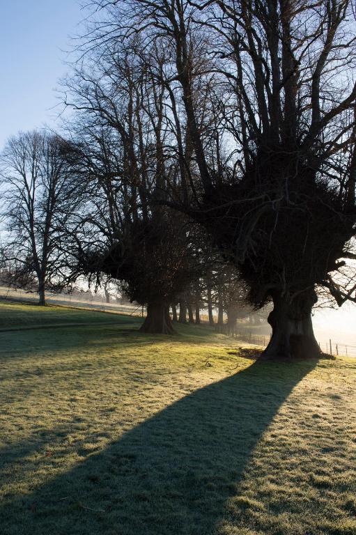 호텔 사진