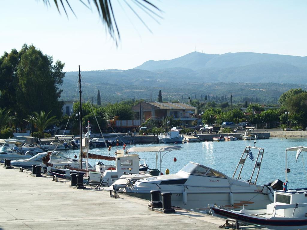 アクティビティ