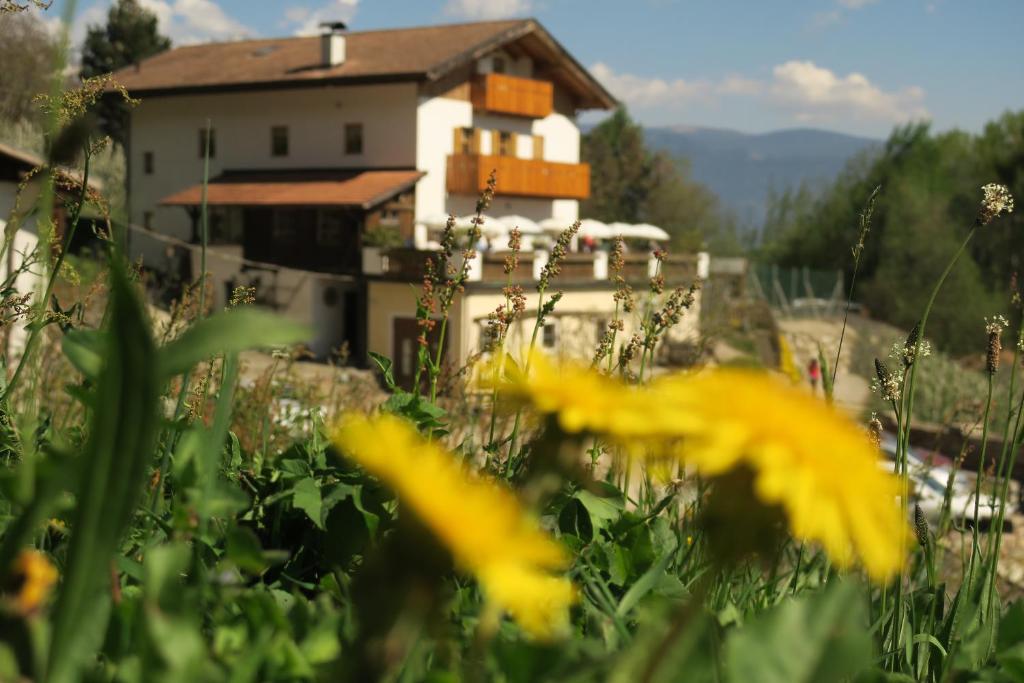 Winklerhof - 4
