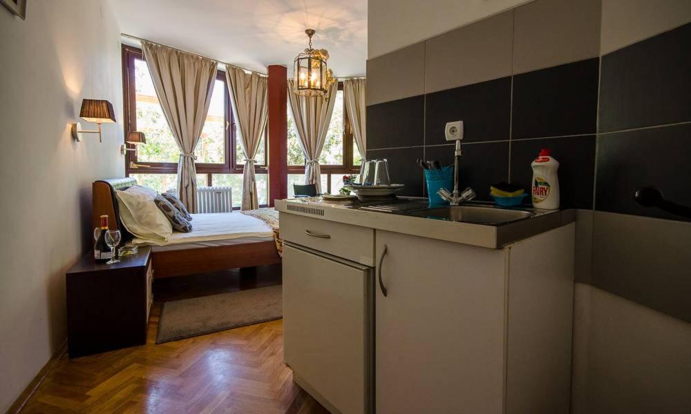 Visoki Stevan Apartments photo