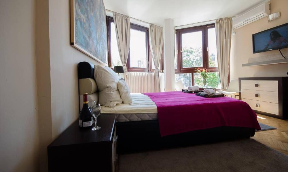 Visoki Stevan Apartments — Hotel in Belgrade