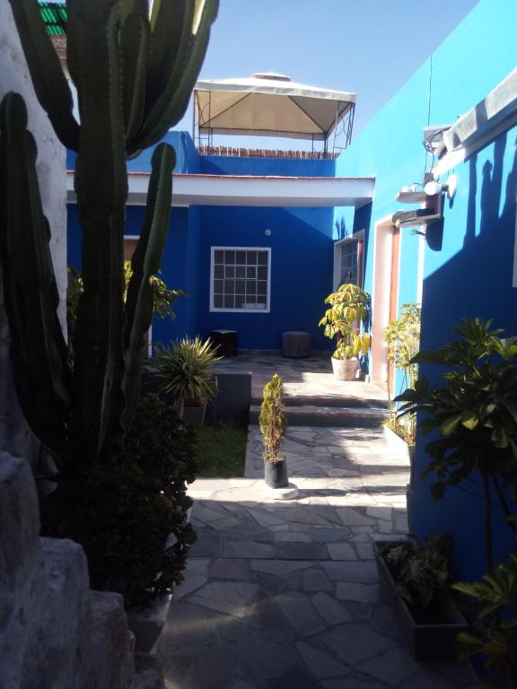 Bubamara San Lazaro