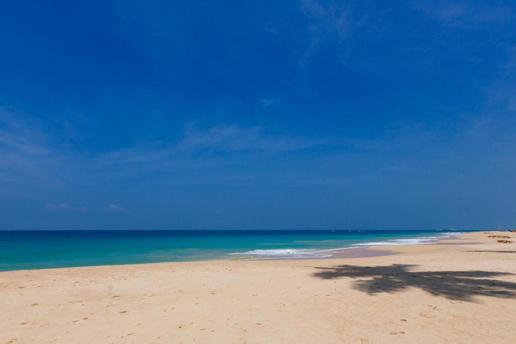 Red Parrot Beach Villa photo