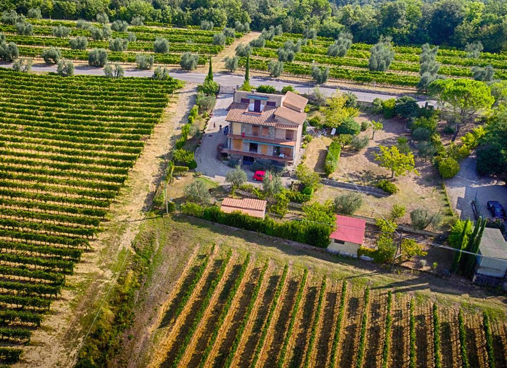 B&B Casa Certosa - 5