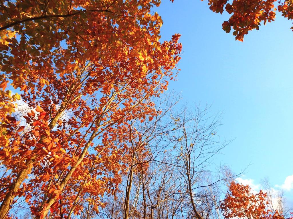 สภาพแวดล้อมโดยรอบ