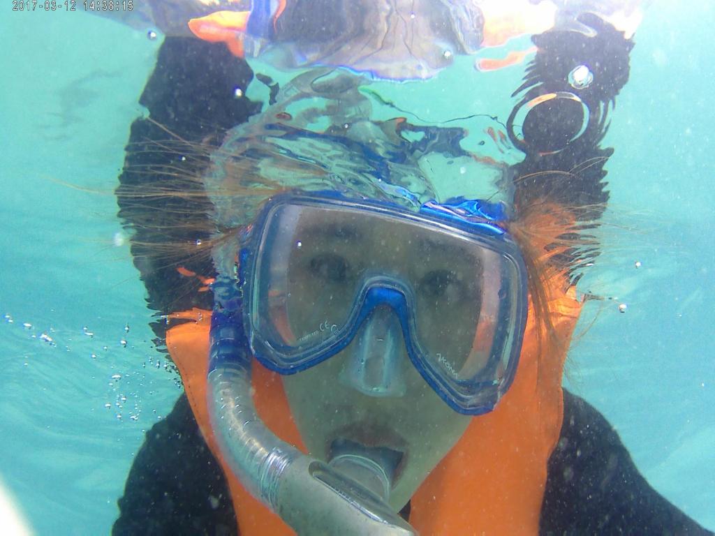 กีฬาและกิจกรรมสันทนาการ