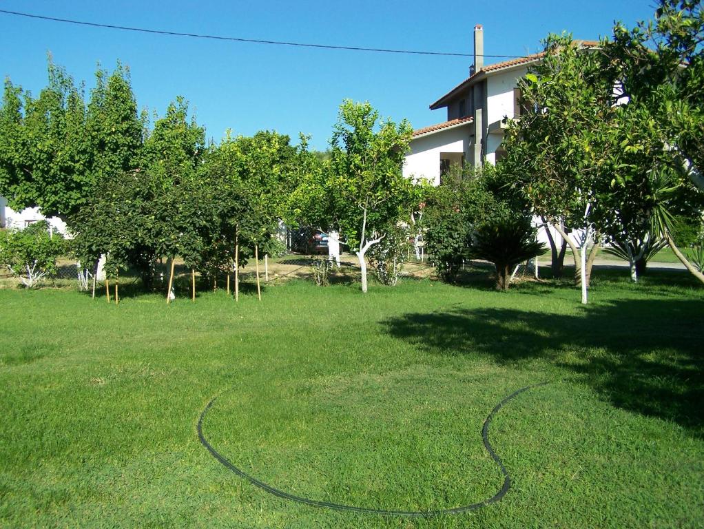 アクティビティ