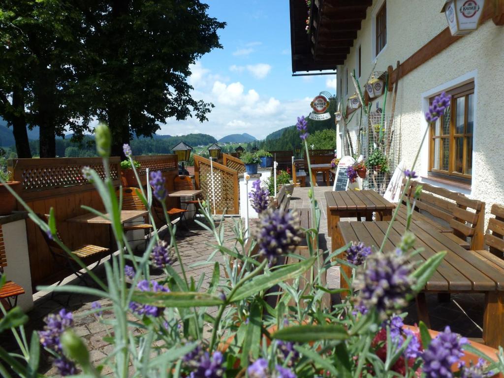 Pension Steinbräu - 3