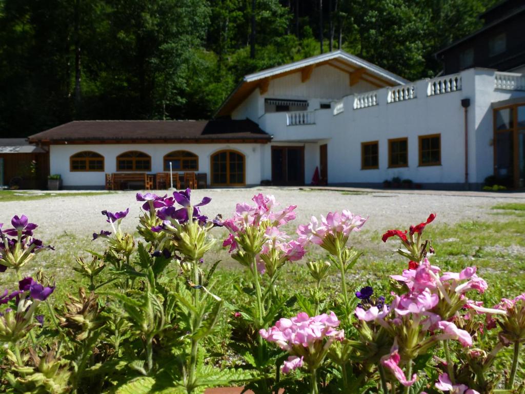 Pension Steinbräu - 5
