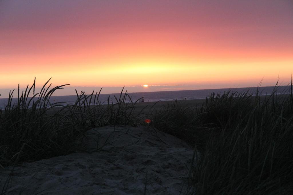 Surrounding environment