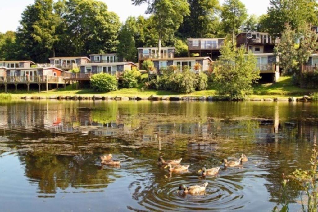 North Wales Lake View Chalet, Caernarfon photo 7
