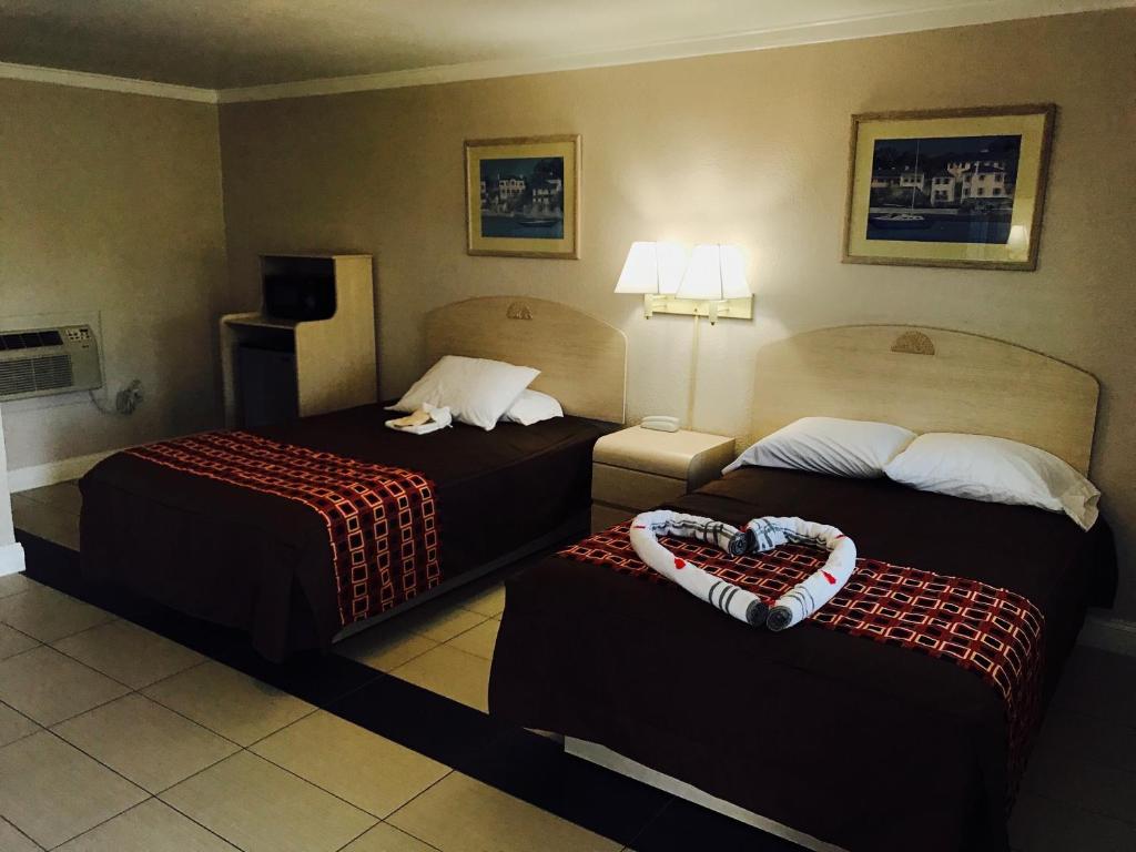 Apollo Inn - Cocoa photo
