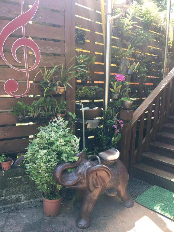 Music House Homestay photo