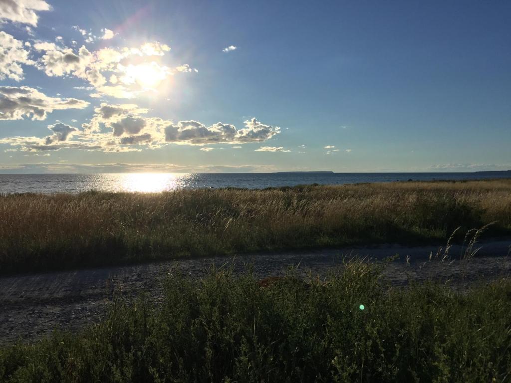 Silte Siglajvs 147 photo