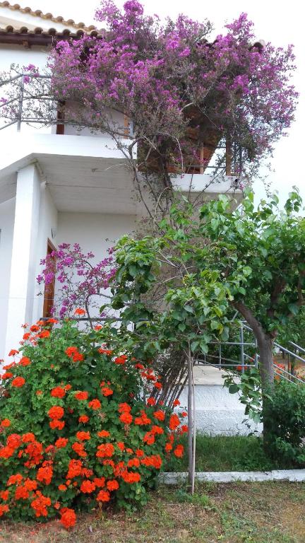 Theodore Apartments photo