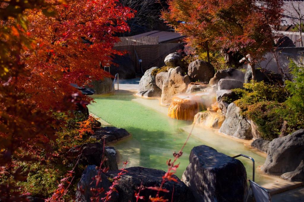 Hot spring bath