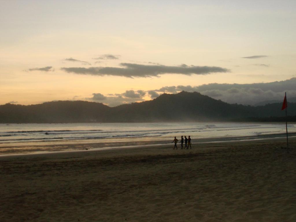View