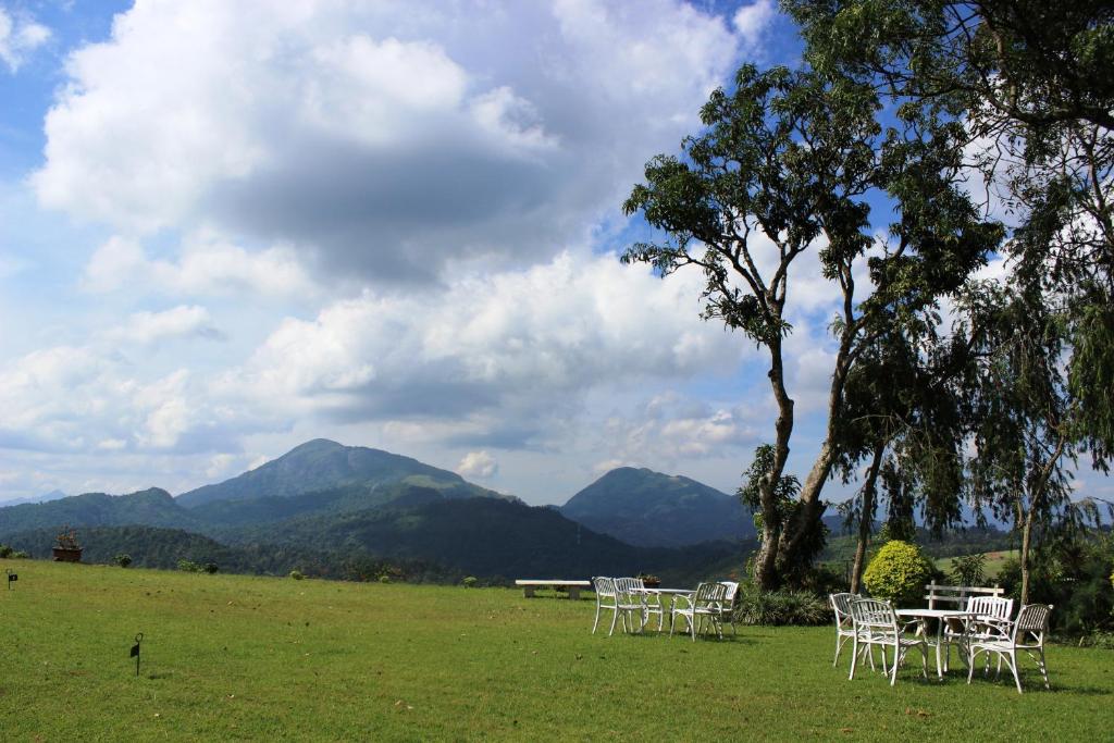 Ancoombra Tea Estate Bungalow photo