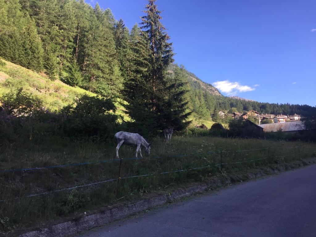 Hotel Camping Grivola - 2