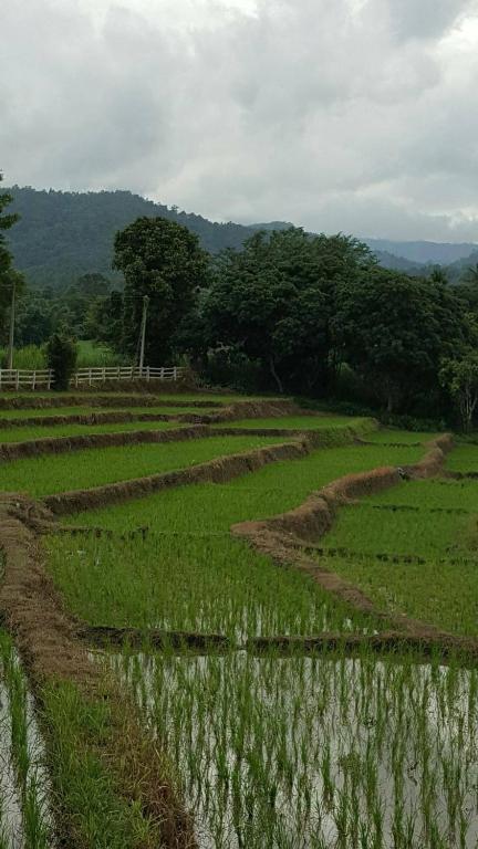 สภาพแวดล้อมโดยรอบ