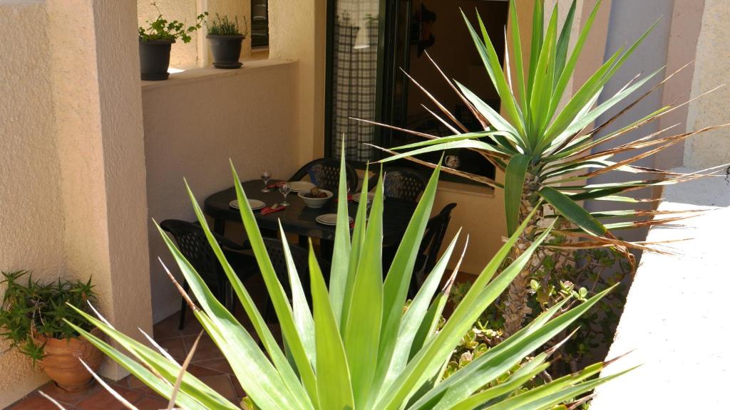 バルコニー/テラス