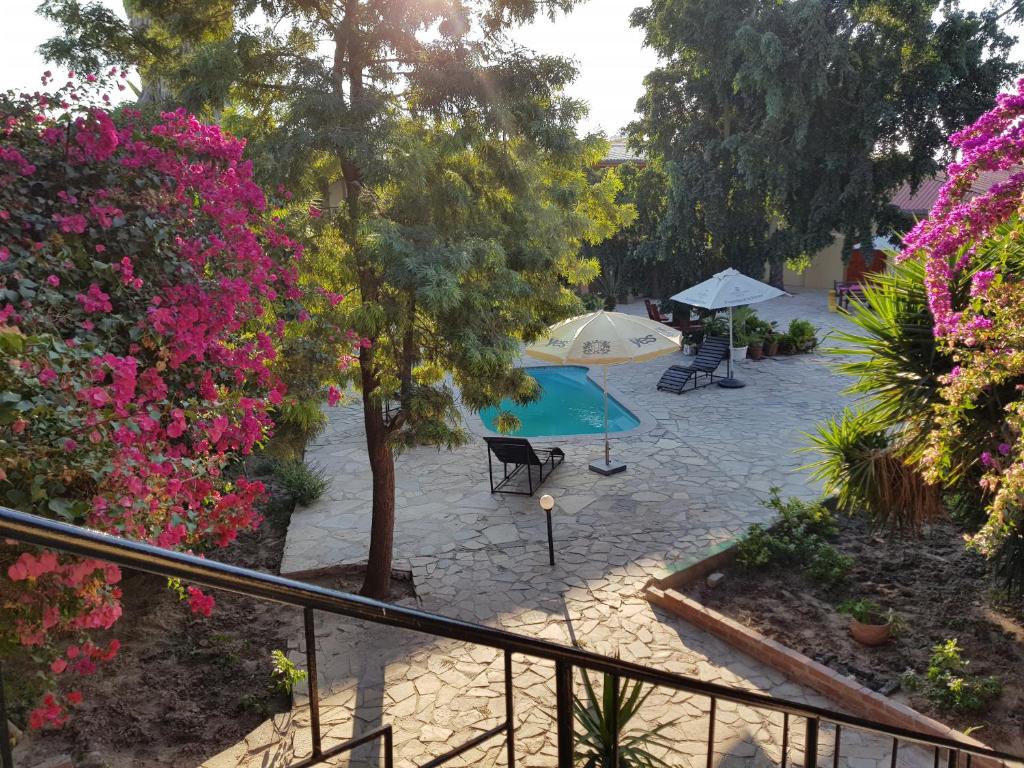 Rocha's Hotel photo