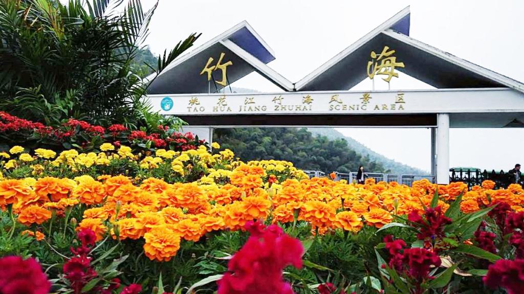 Surrounding environment