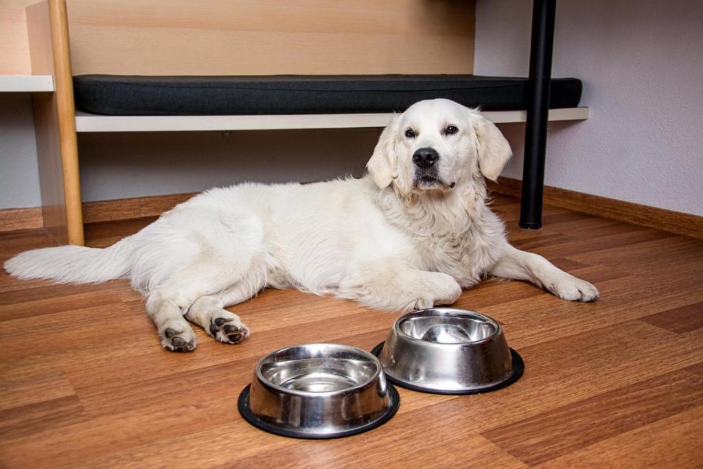 Ibis Poznan Stare Miasto Photo 8