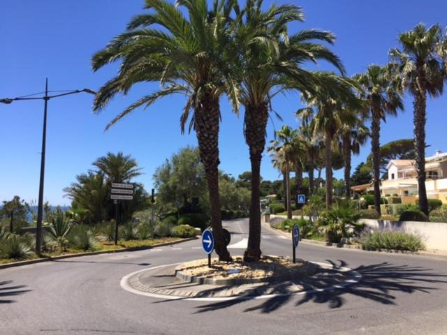 Sanary - 5