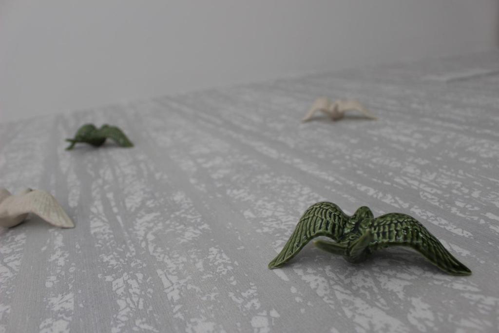 Attrezzature e servizi