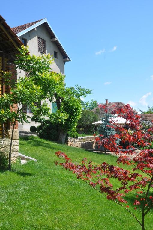 Guesthouse Djuric — Hotel in Negotin
