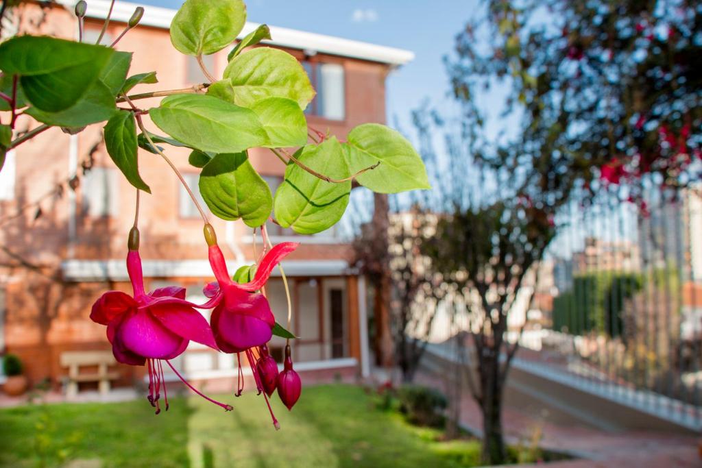 Qhini Hotel Boutique - 3