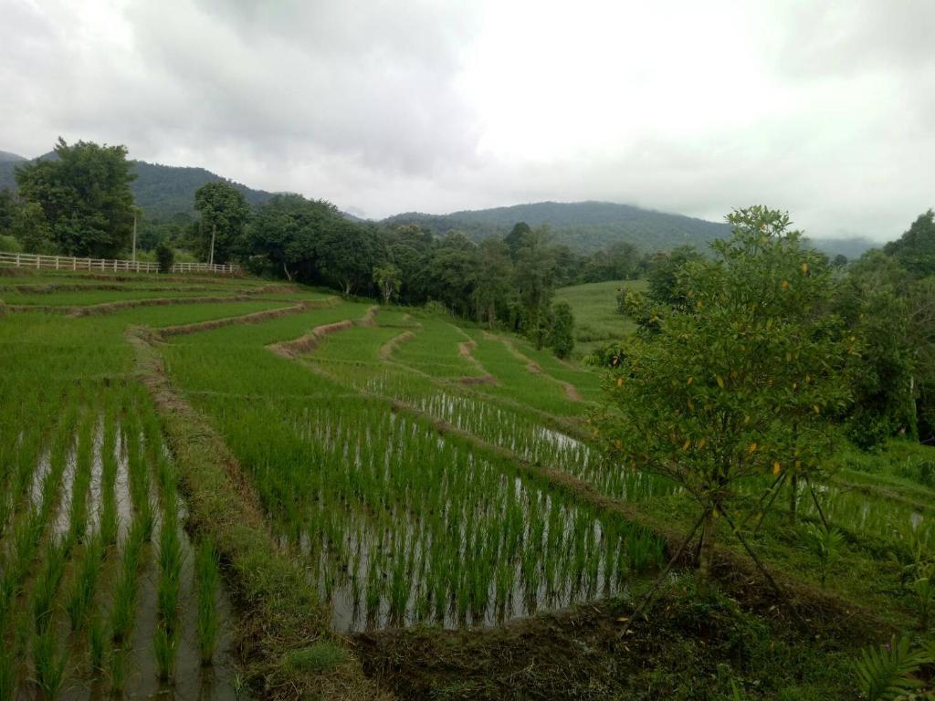 สภาพแวดล้อมโดยรอบ