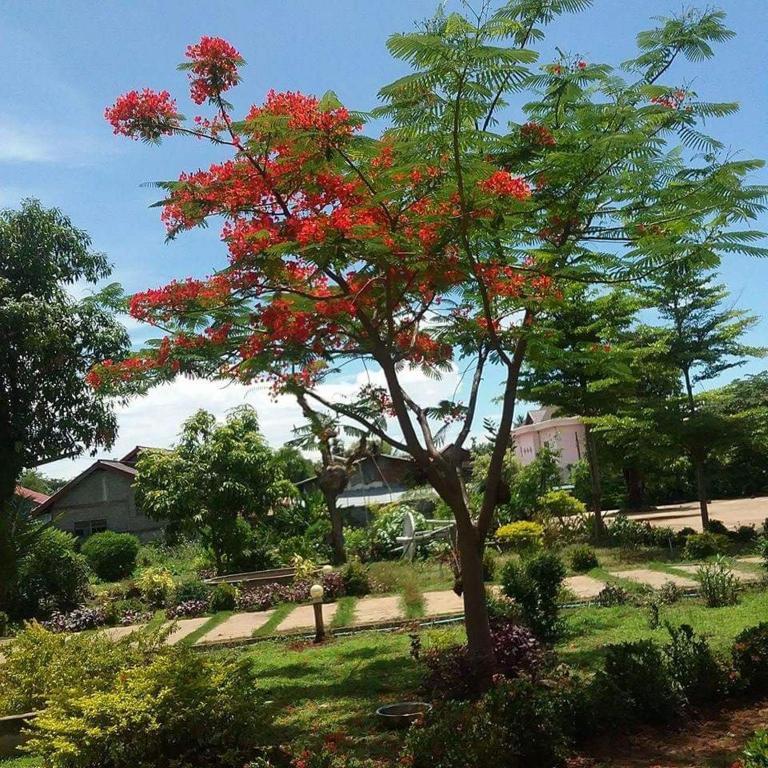 ทัศนียภาพ