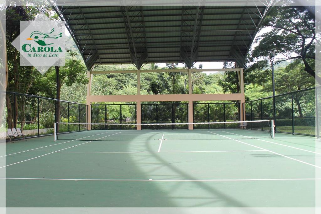 Tennis court
