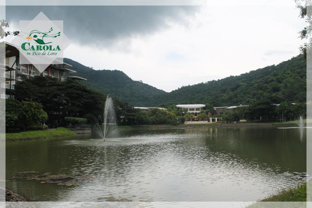 Surrounding environment