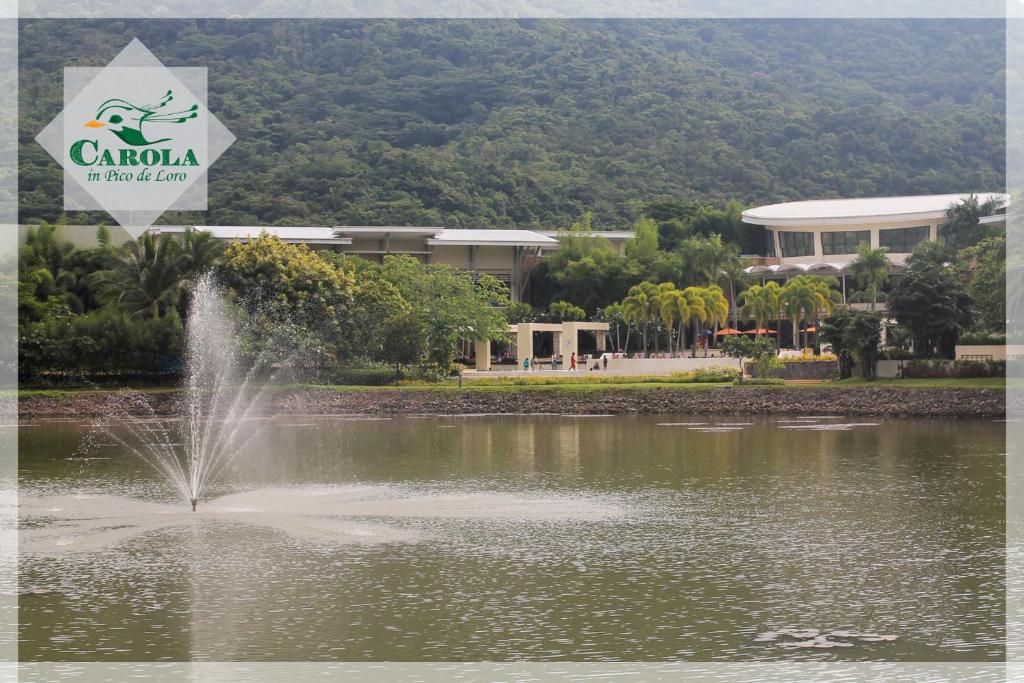 ทัศนียภาพ