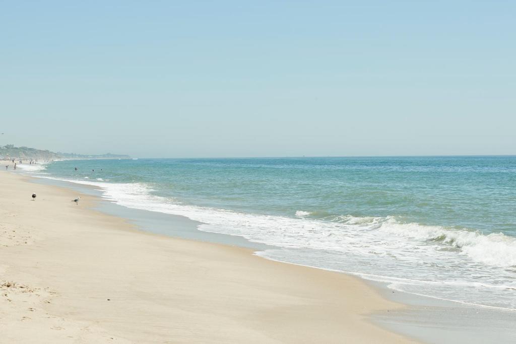 Hero Beach Club Photo 13