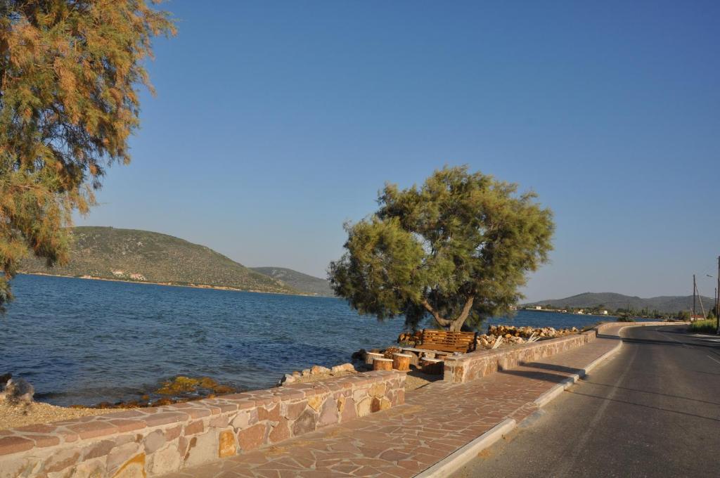 Ariadnes Holiday Accommodation II photo