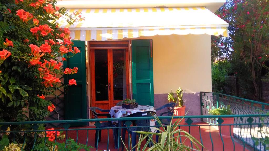 Granny's house - 2