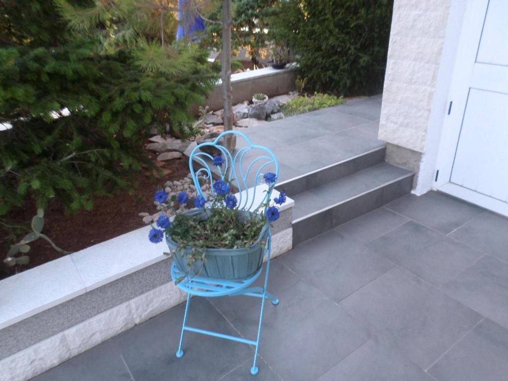 Apartments Gordana photo