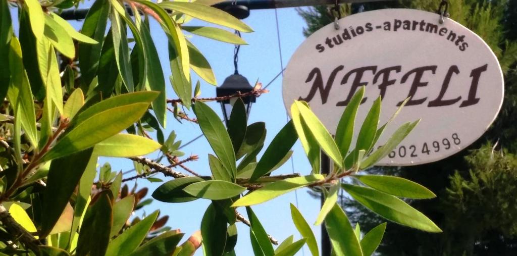 Nefeli Studios — Hotel in Aidipsos