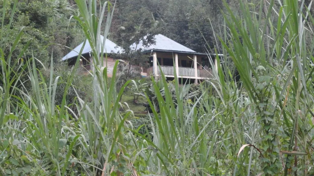 Ruboni Community Camp, hotel in Kasese