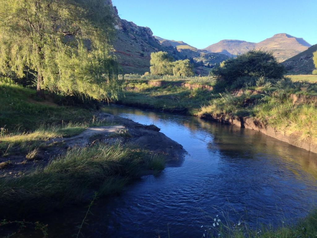 Old Mill Drift Guest Farm photo