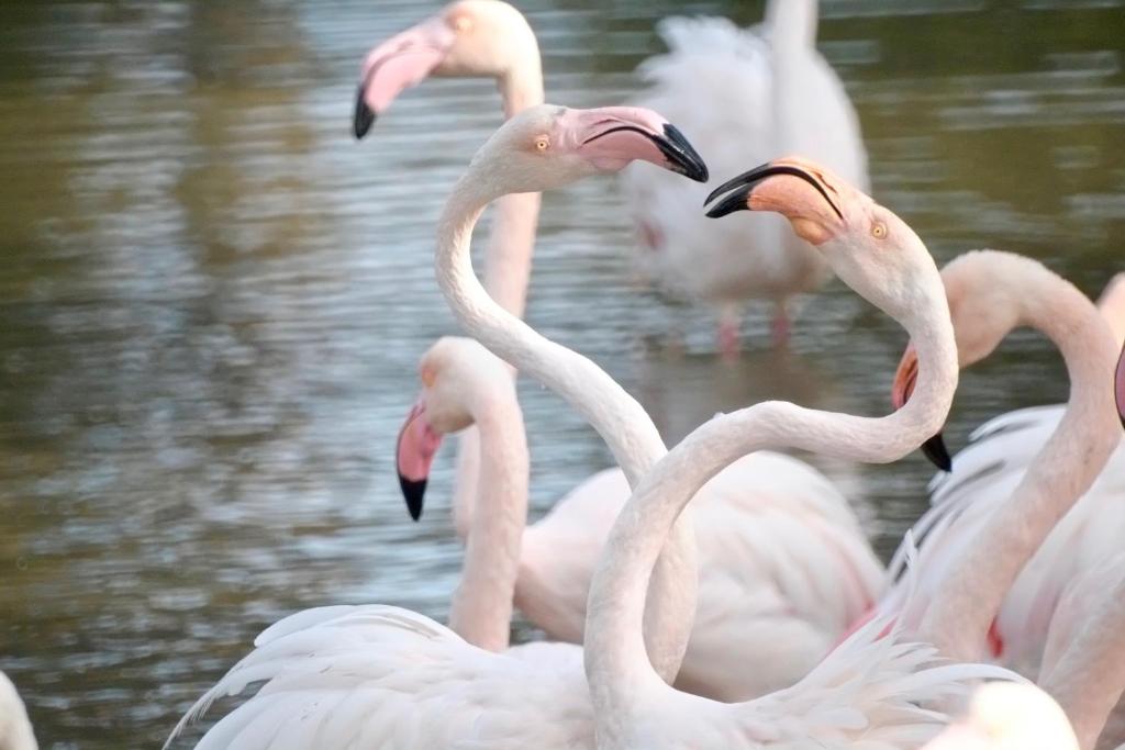 スポーツ/アクティビティ